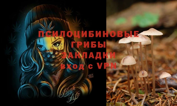 скорость Мегион